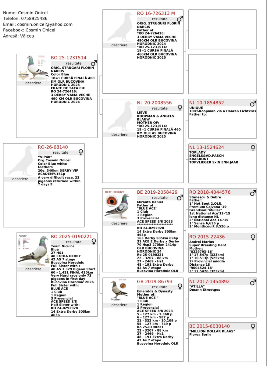 

20. Extra Derby NEA MUDANIA 540km
17. Ace Pigeon 6 races
147. Final Race ALEXANDROPOLIS 460km VIP ACADEMY OLR · Season 2026 - TEAM COSMIN ONICEL & VLAD & TATARU
 RO-26-68140