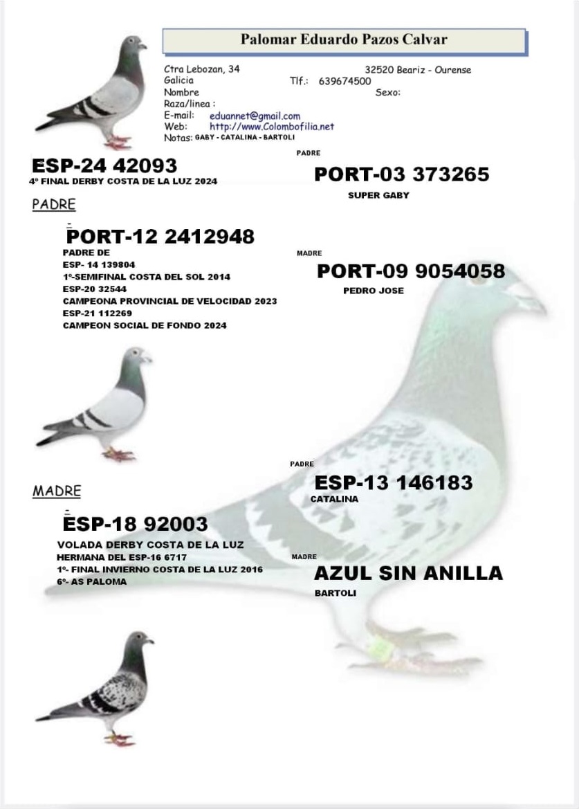 
62. Final Race 422km KIRKOVO BG
96. Ace Pigeon

Derby Superstar OLR · Season 2026 - STOICA NICOLAE - A
 ESP 26 143050 

