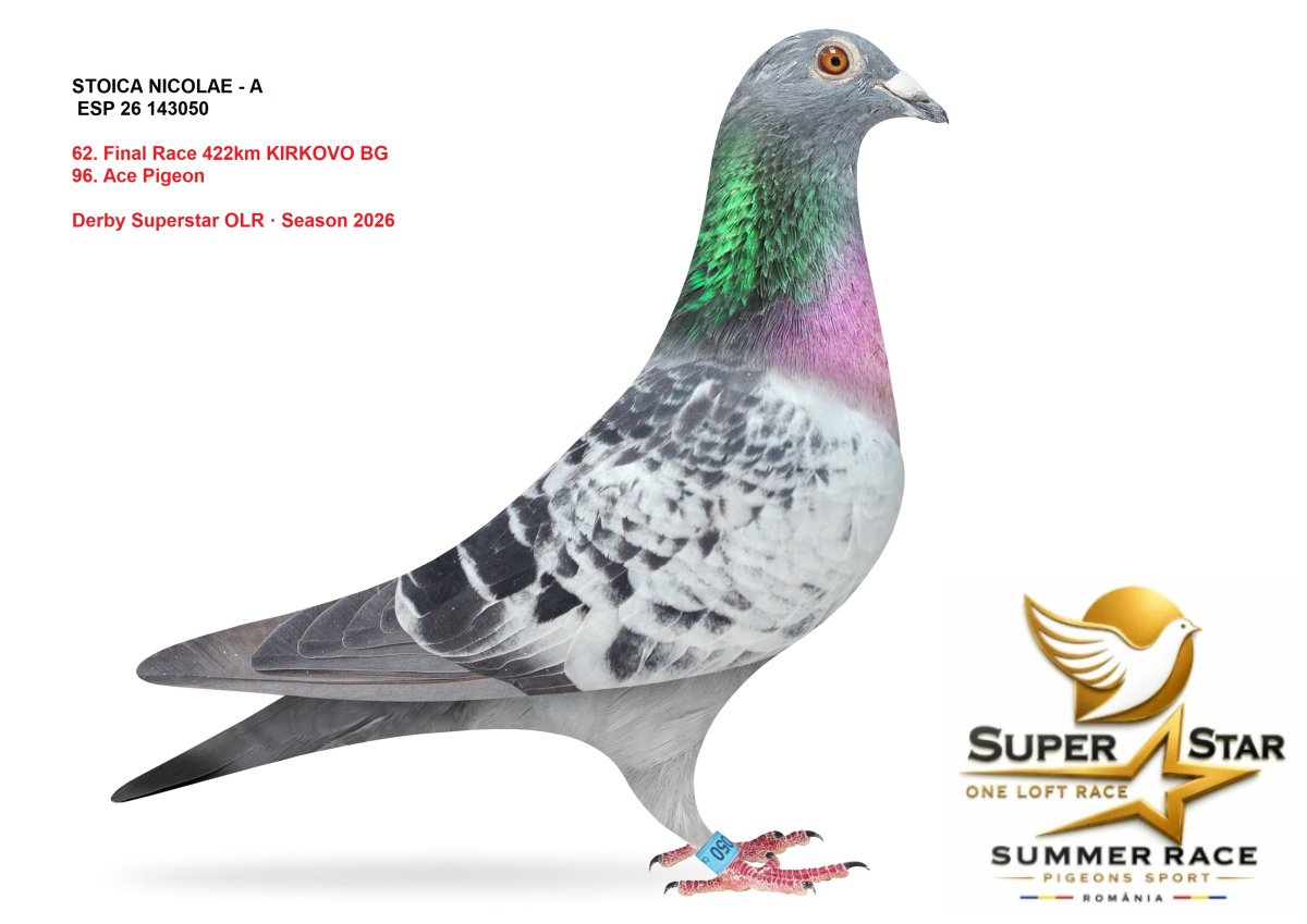 Derby Superstar OLR Summer 2026 part 3