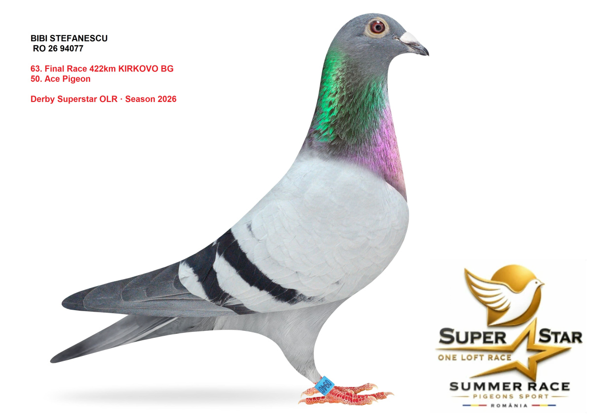Derby Superstar OLR Summer 2026 part 3