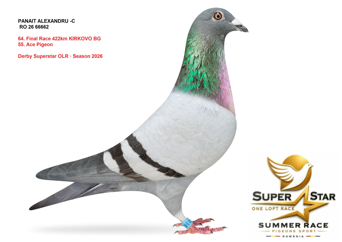 Derby Superstar OLR Summer 2026 part 3