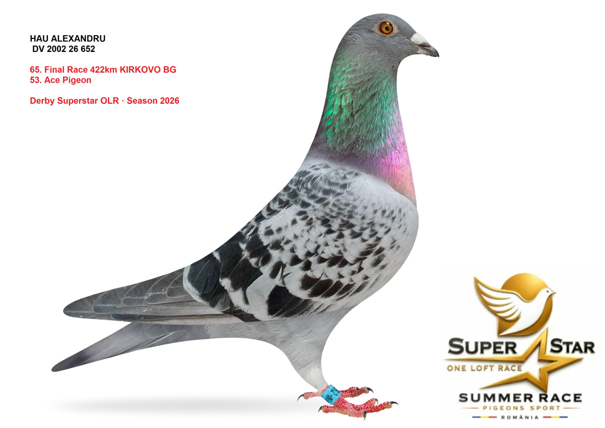 Derby Superstar OLR Summer 2026 part 3