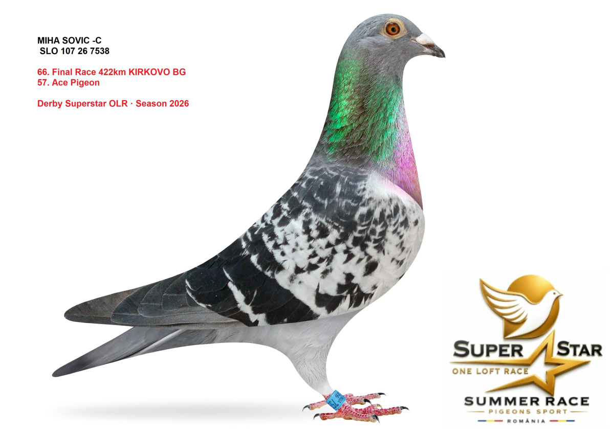 Derby Superstar OLR Summer 2026 part 3