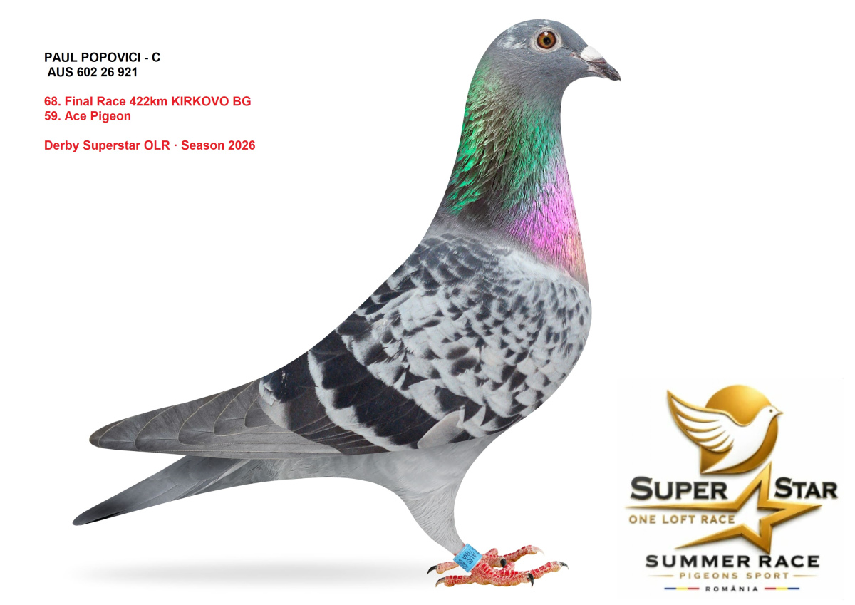 Derby Superstar OLR Summer 2026 part 3