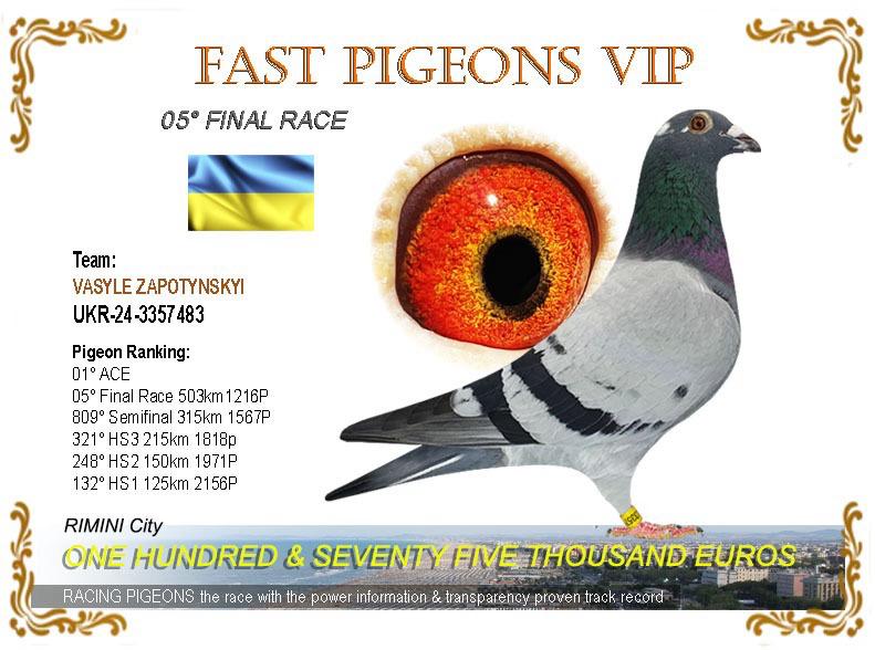

69. Final Race 422km KIRKOVO BG
54. Ace Pigeon

Derby Superstar OLR · Season 2026 - 
ZAPOTYNSKYI - RATA 
 UKR 26 3369365 
