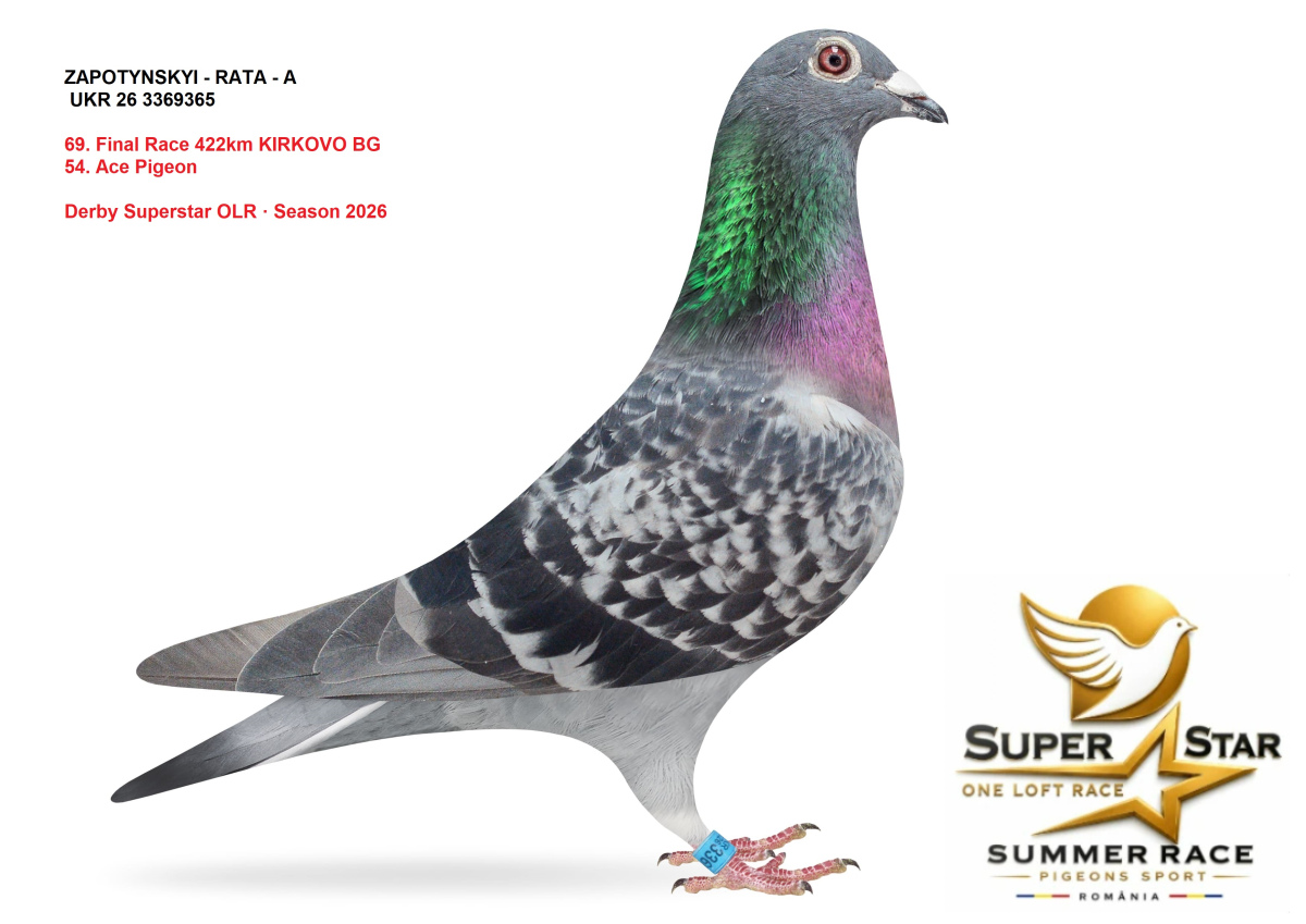 Derby Superstar OLR Summer 2026 part 3