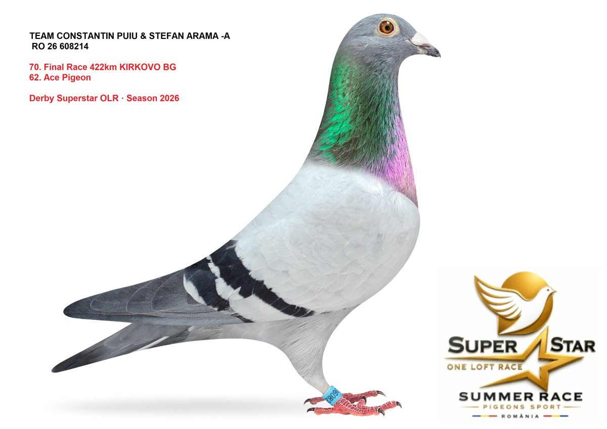 Derby Superstar OLR Summer 2026 part 3