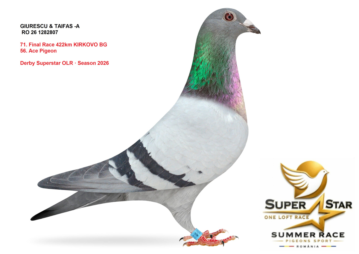 Derby Superstar OLR Summer 2026 part 3