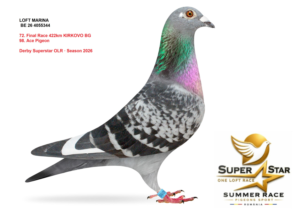 Derby Superstar OLR Summer 2026 part 3