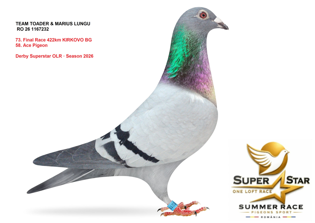 Derby Superstar OLR Summer 2026 part 3