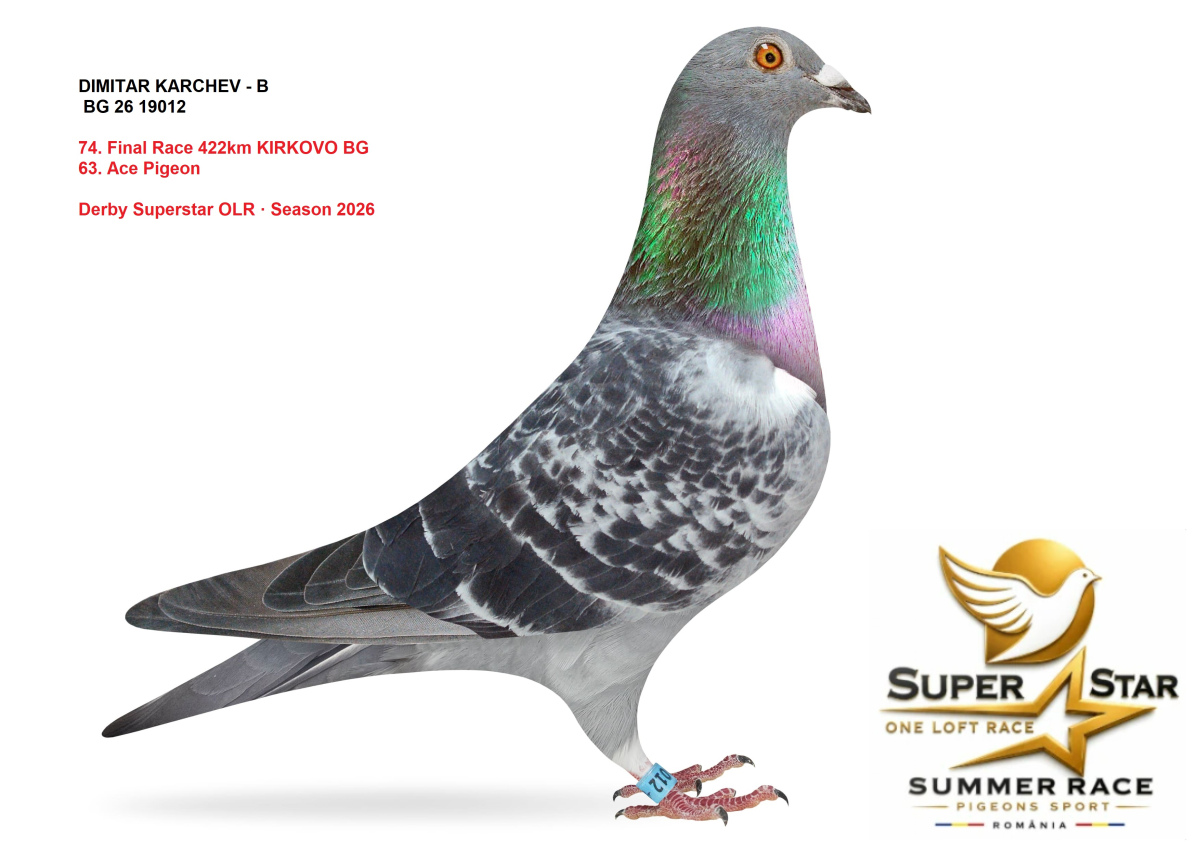 Derby Superstar OLR Summer 2026 part 3
