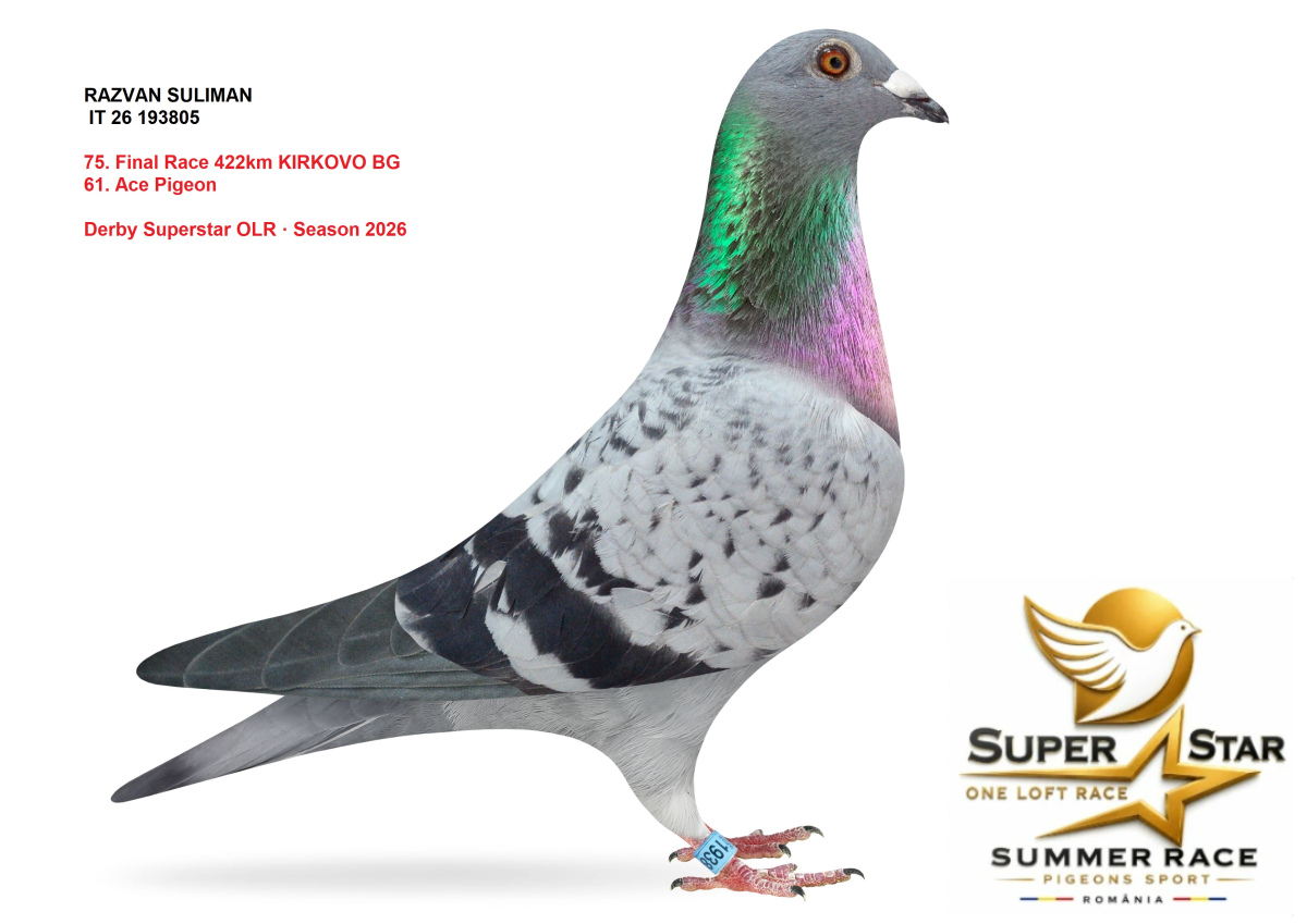 Derby Superstar OLR Summer 2026 part 3