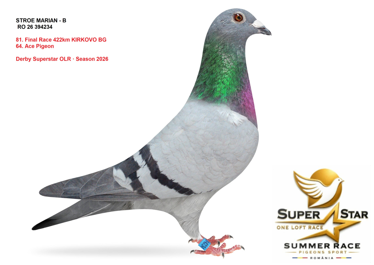 Derby Superstar OLR Summer 2026 part 3