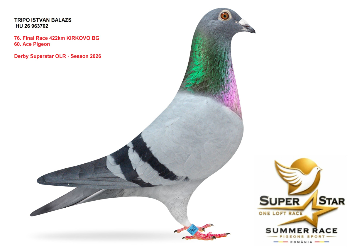 Derby Superstar OLR Summer 2026 part 3