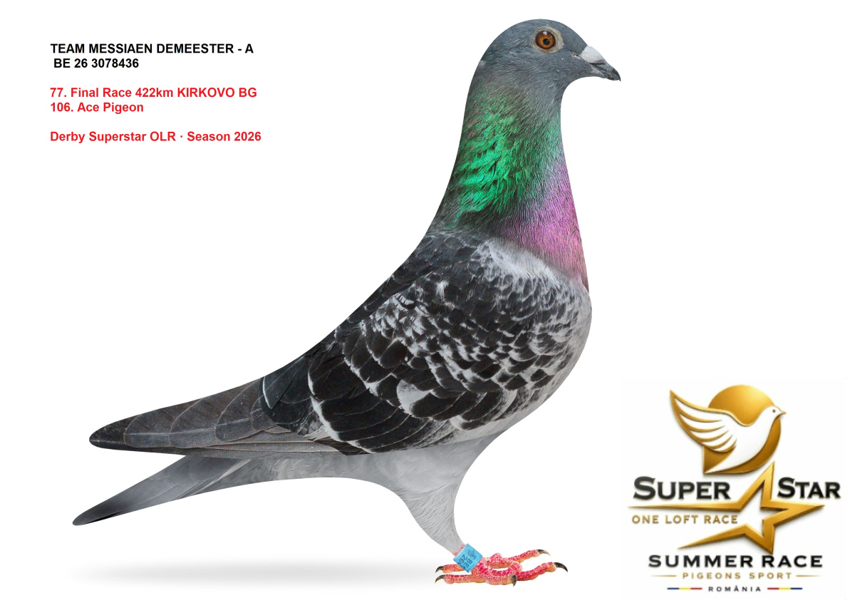 Derby Superstar OLR Summer 2026 part 3