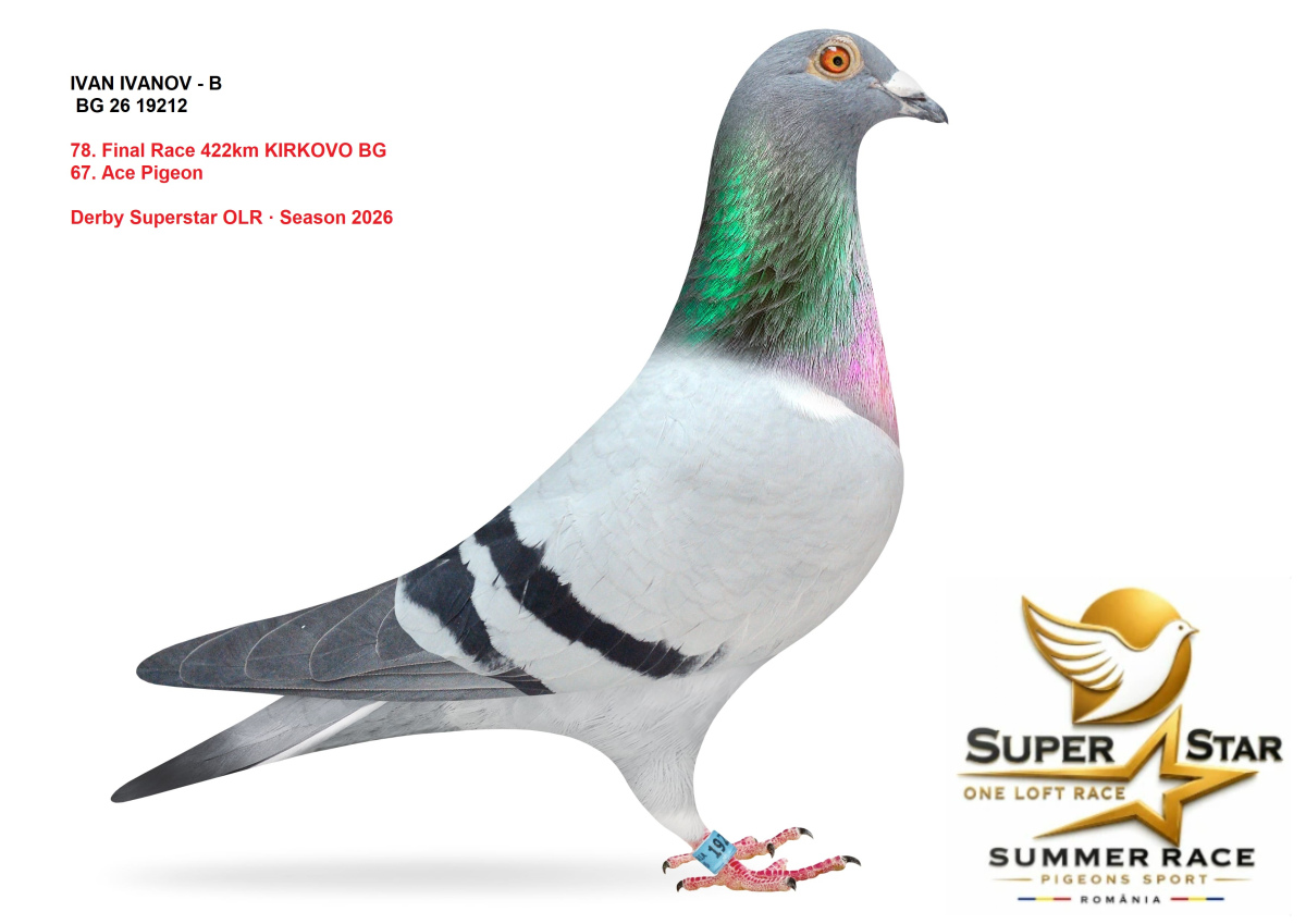 Derby Superstar OLR Summer 2026 part 3