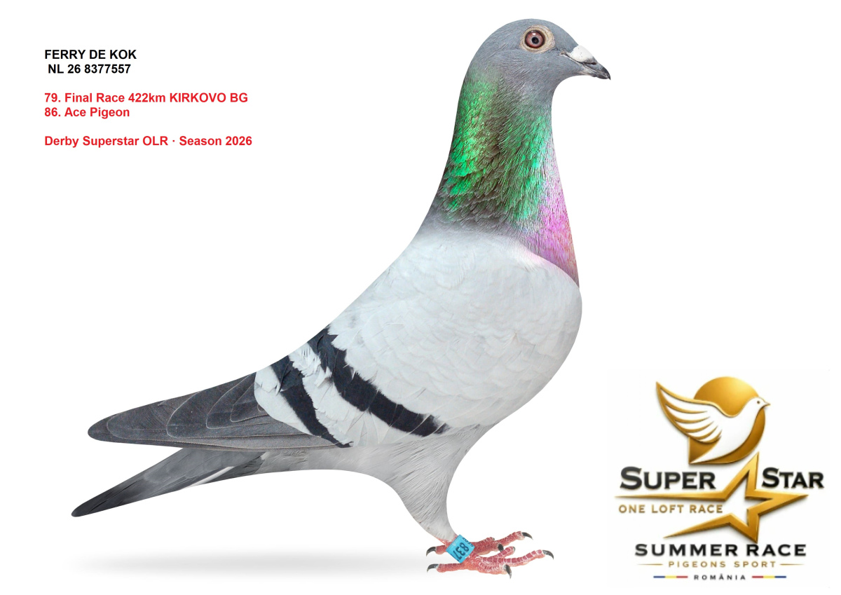 Derby Superstar OLR Summer 2026 part 3