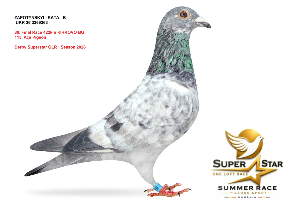 Derby Superstar OLR Summer 2026 part 3