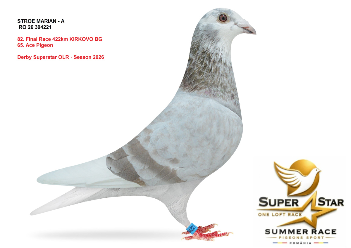 Derby Superstar OLR Summer 2026 part 4