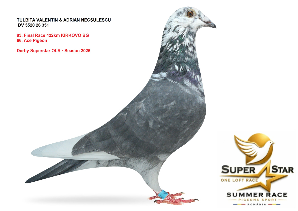 Derby Superstar OLR Summer 2026 part 4