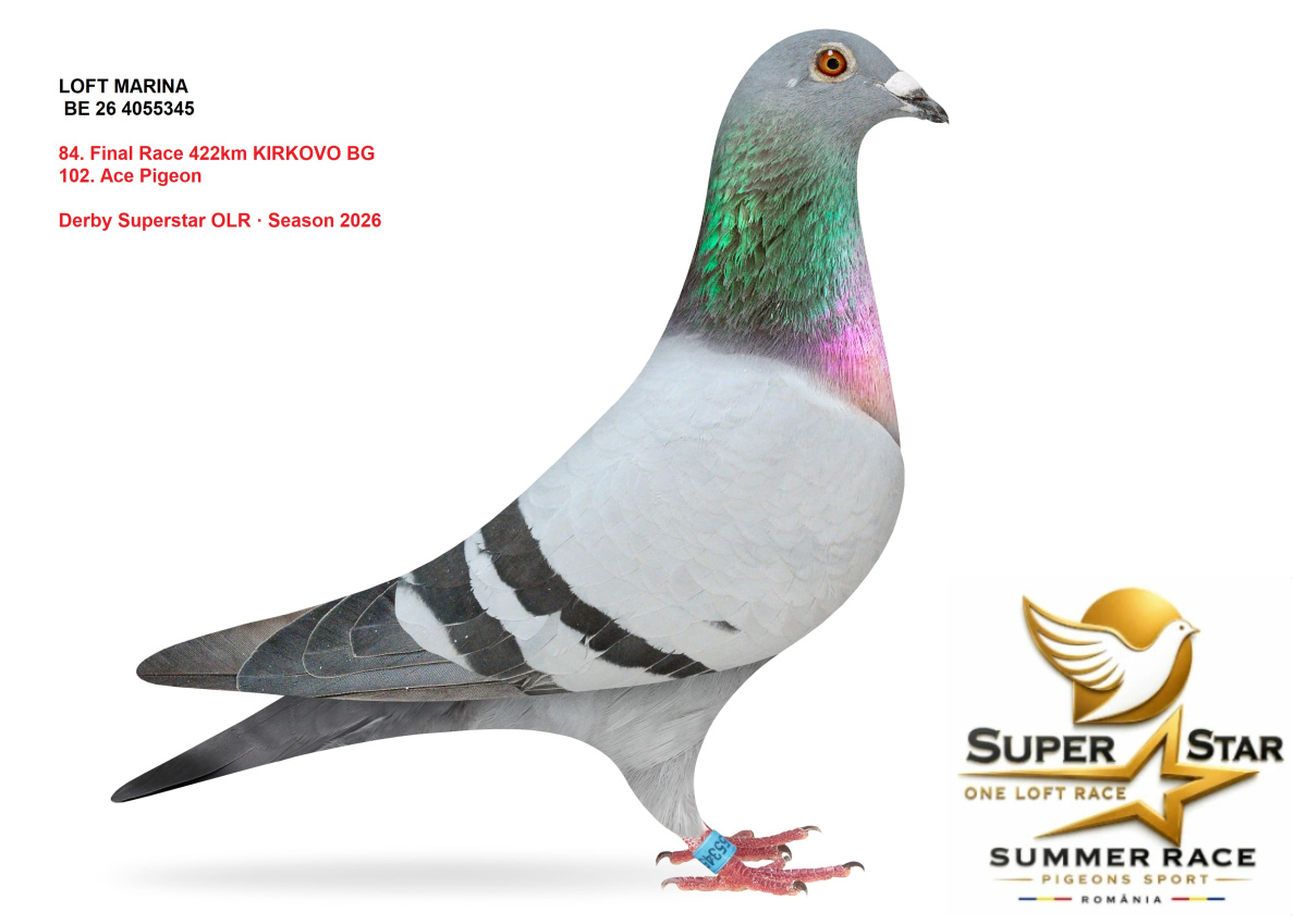 Derby Superstar OLR Summer 2026 part 4