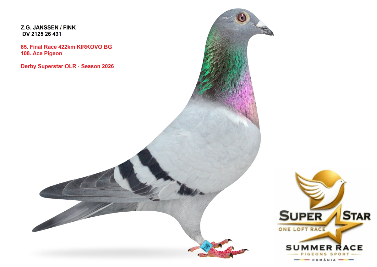 Derby Superstar OLR Summer 2026 part 4