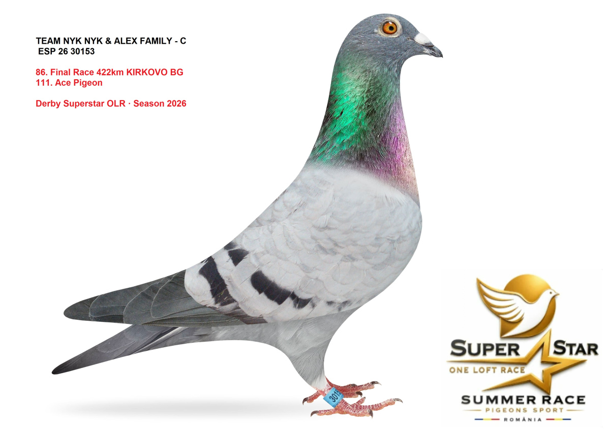 Derby Superstar OLR Summer 2026 part 4