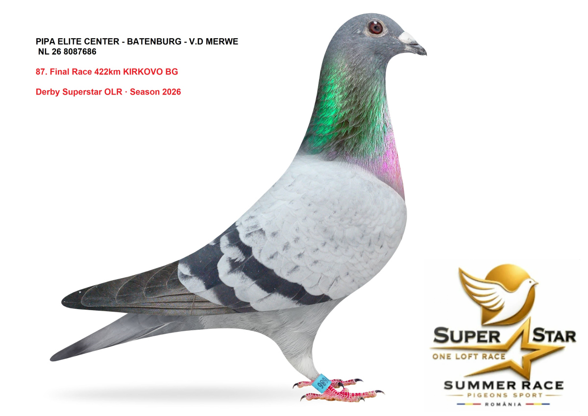 Derby Superstar OLR Summer 2026 part 4