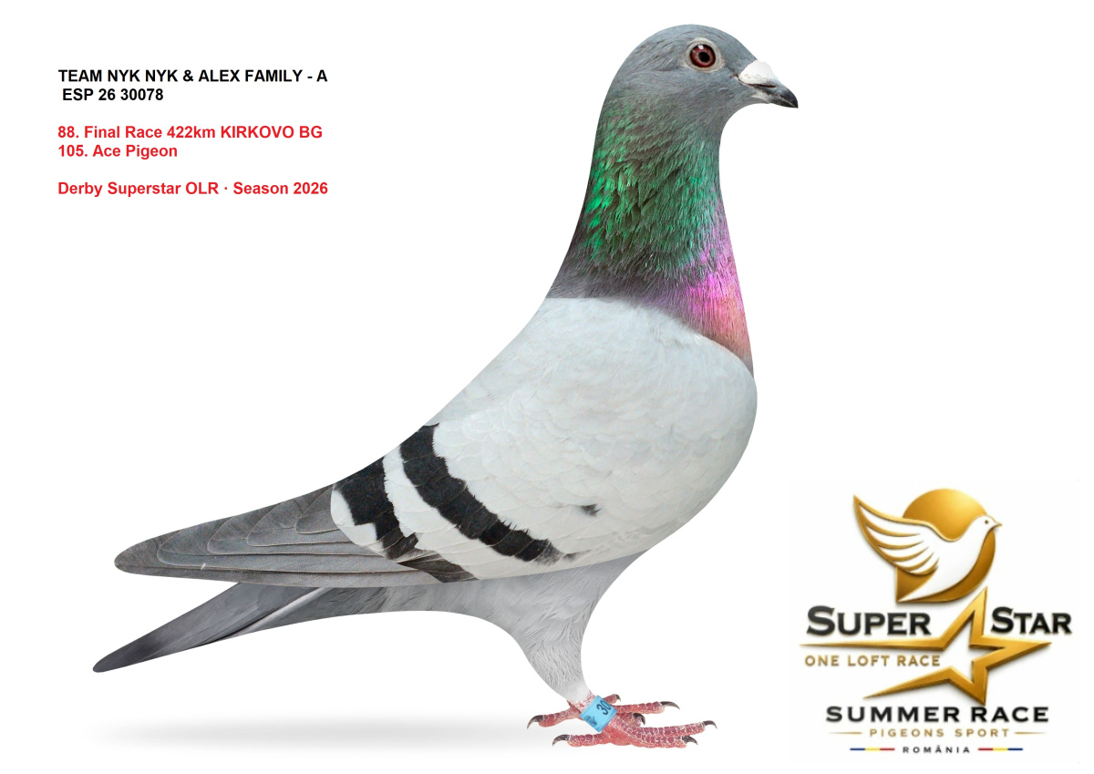 Derby Superstar OLR Summer 2026 part 4