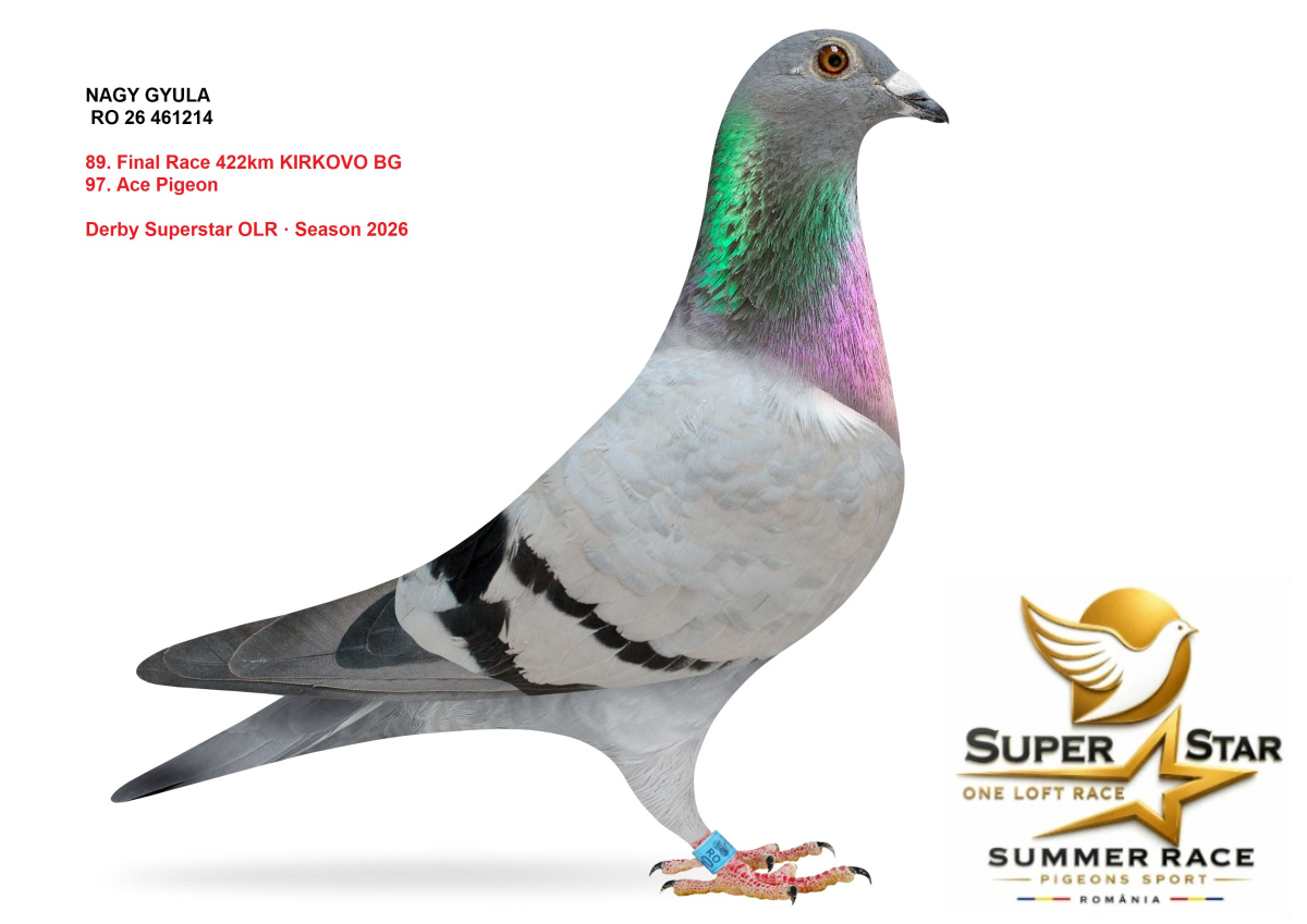 Derby Superstar OLR Summer 2026 part 4