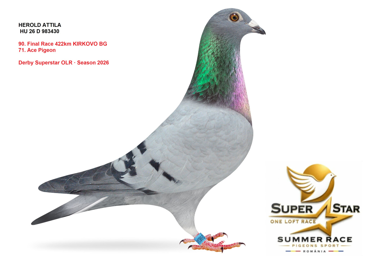 Derby Superstar OLR Summer 2026 part 4