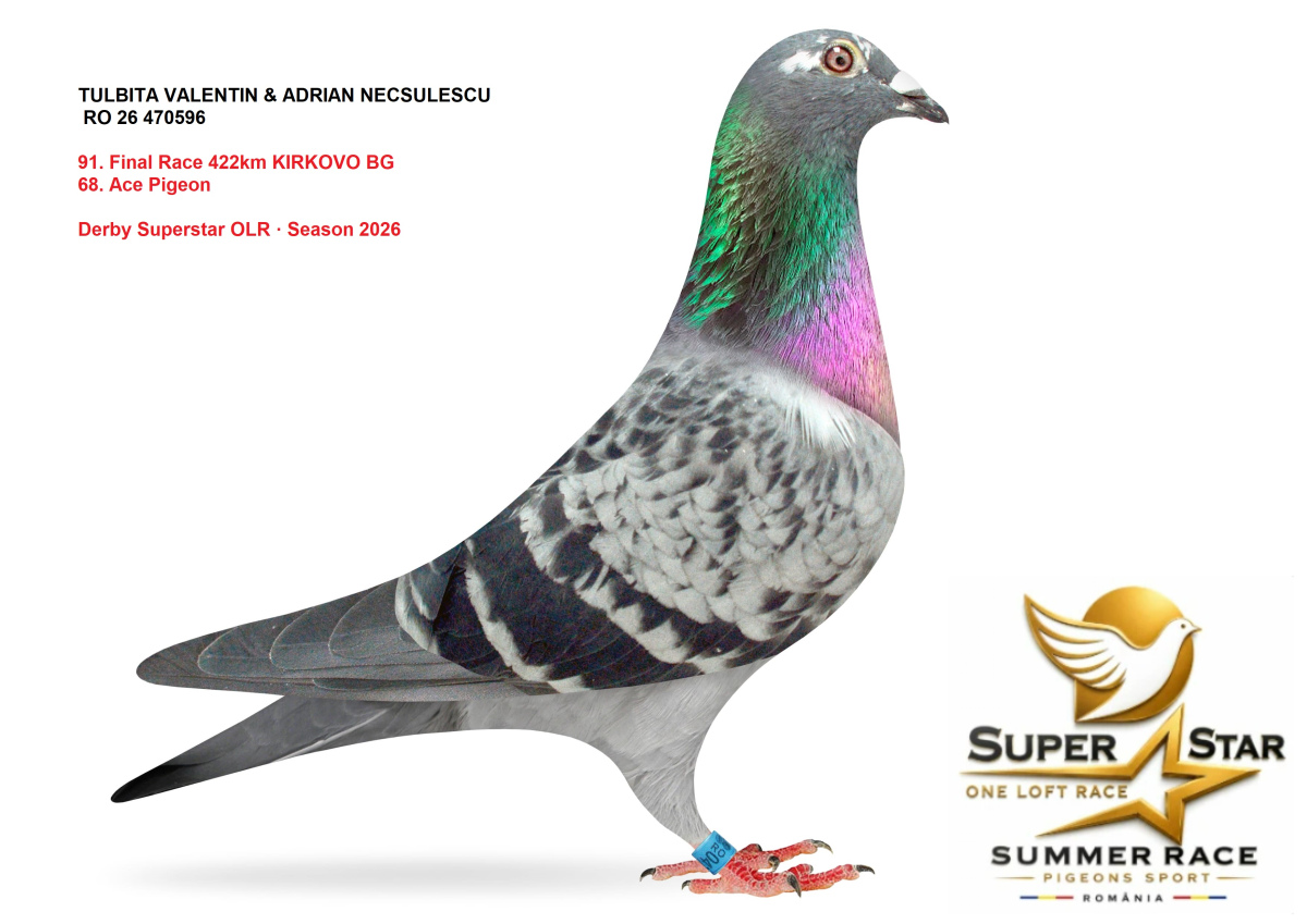 Derby Superstar OLR Summer 2026 part 4