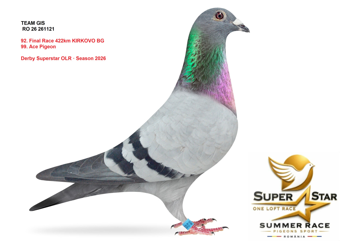 Derby Superstar OLR Summer 2026 part 4
