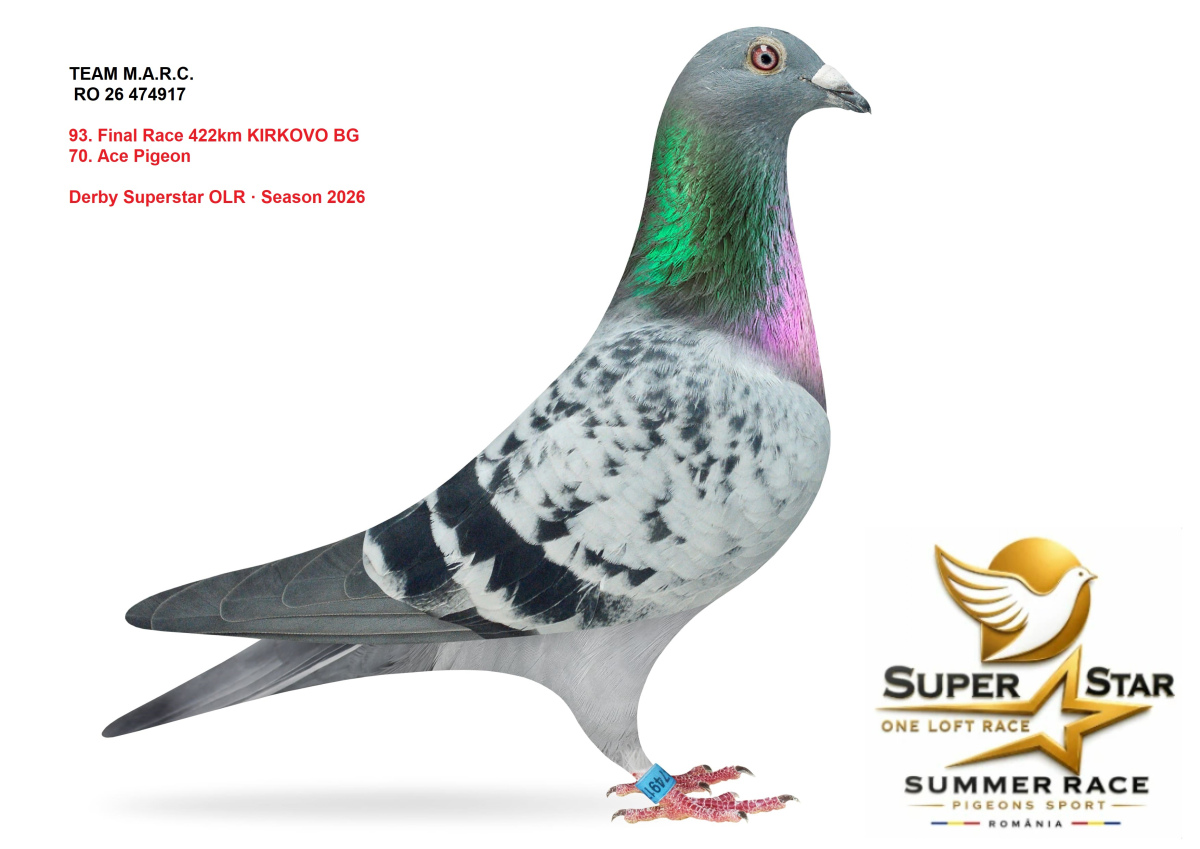 Derby Superstar OLR Summer 2026 part 4