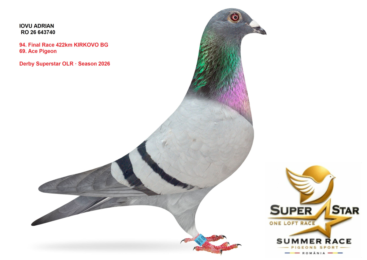 Derby Superstar OLR Summer 2026 part 4