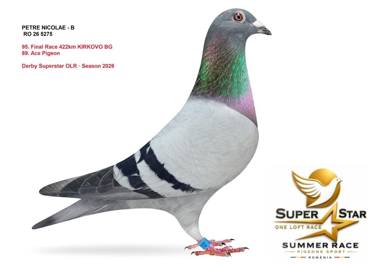 Derby Superstar OLR Summer 2026 part 4