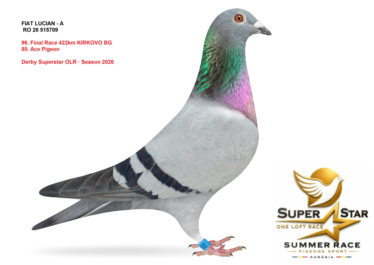 Derby Superstar OLR Summer 2026 part 4