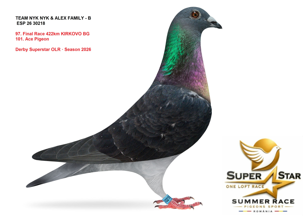Derby Superstar OLR Summer 2026 part 4