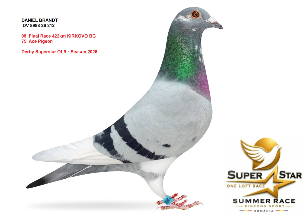 Derby Superstar OLR Summer 2026 part 4