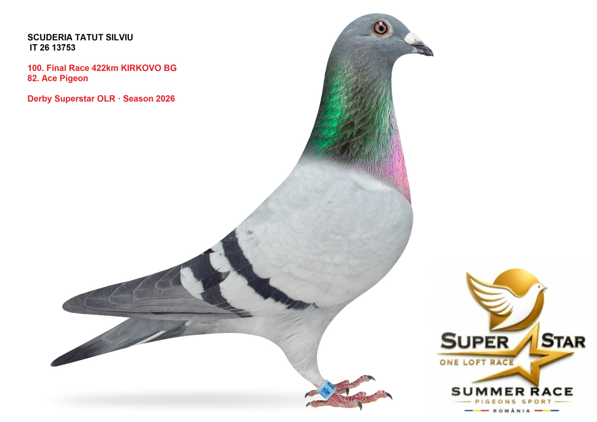 Derby Superstar OLR Summer 2026 part 4