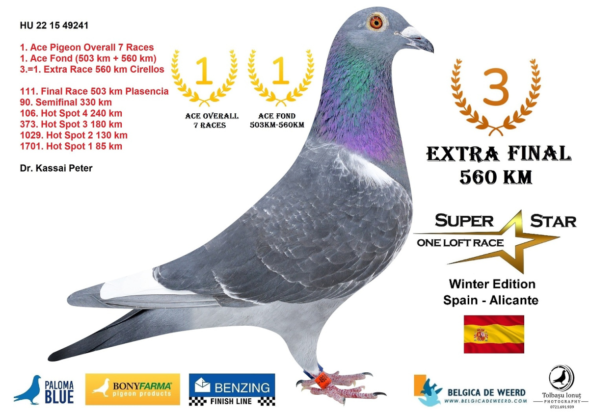 
97. Final Race 422km KIRKOVO BG
101. Ace Pigeon

Derby Superstar OLR · Season 2026  - TEAM NYK NYK & ALEX FAMILY - B
 ESP 26 30218
