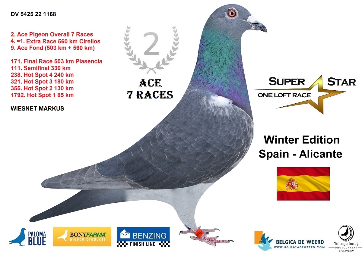 
97. Final Race 422km KIRKOVO BG
101. Ace Pigeon

Derby Superstar OLR · Season 2026  - TEAM NYK NYK & ALEX FAMILY - B
 ESP 26 30218
