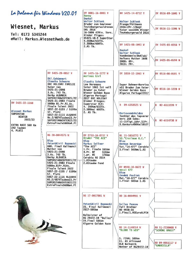 
97. Final Race 422km KIRKOVO BG
101. Ace Pigeon

Derby Superstar OLR · Season 2026  - TEAM NYK NYK & ALEX FAMILY - B
 ESP 26 30218
