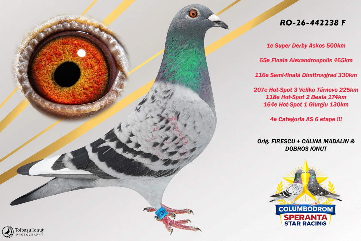 OLR Speranta - SUPER DERBY ASKOS 500km
