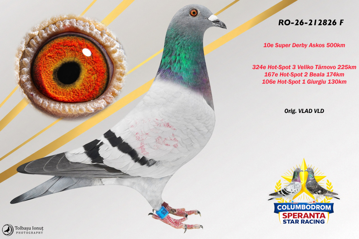OLR Speranta - SUPER DERBY ASKOS 500km