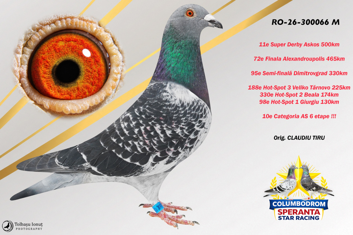 OLR Speranta - SUPER DERBY ASKOS 500km