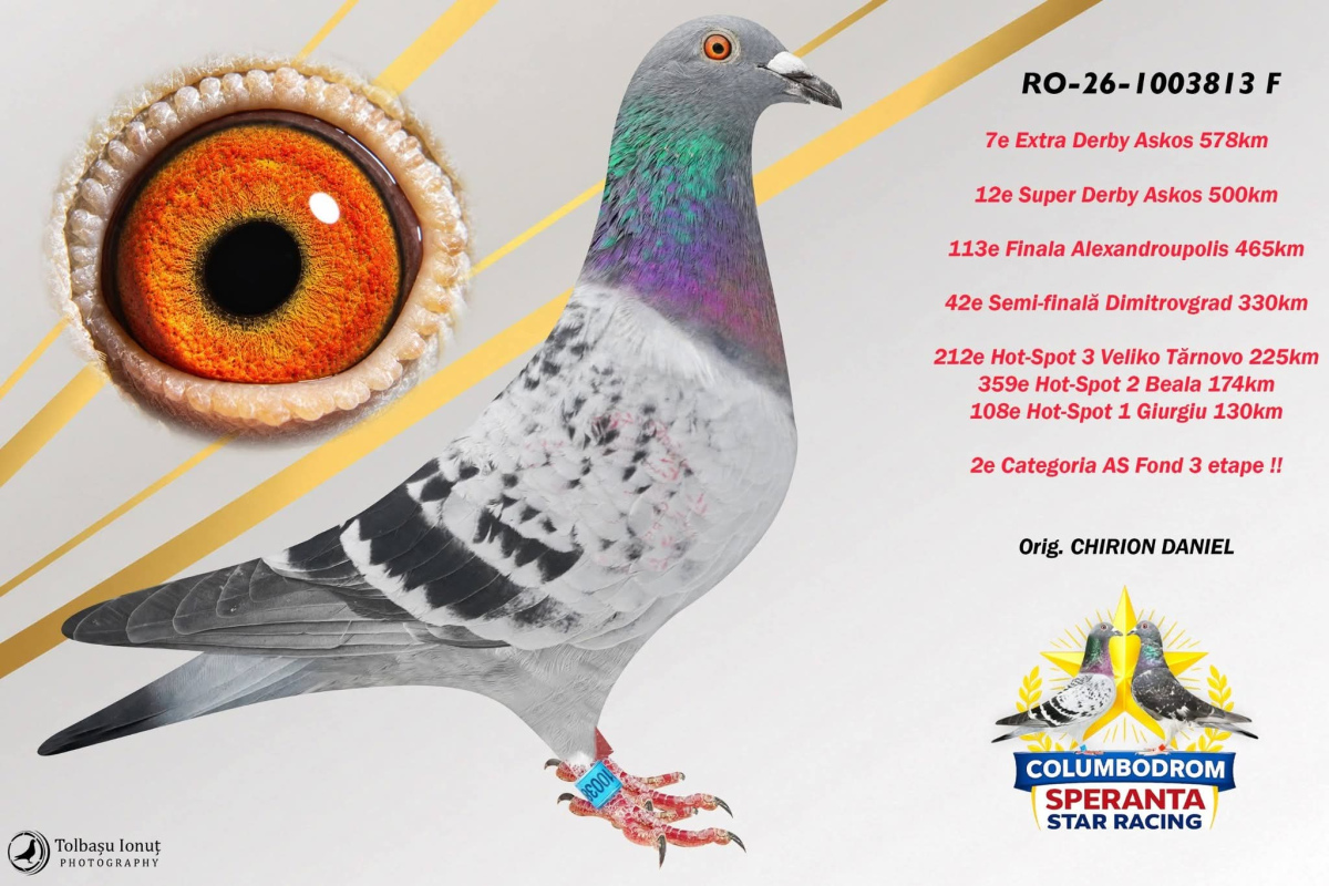 OLR Speranta - SUPER DERBY ASKOS 500km