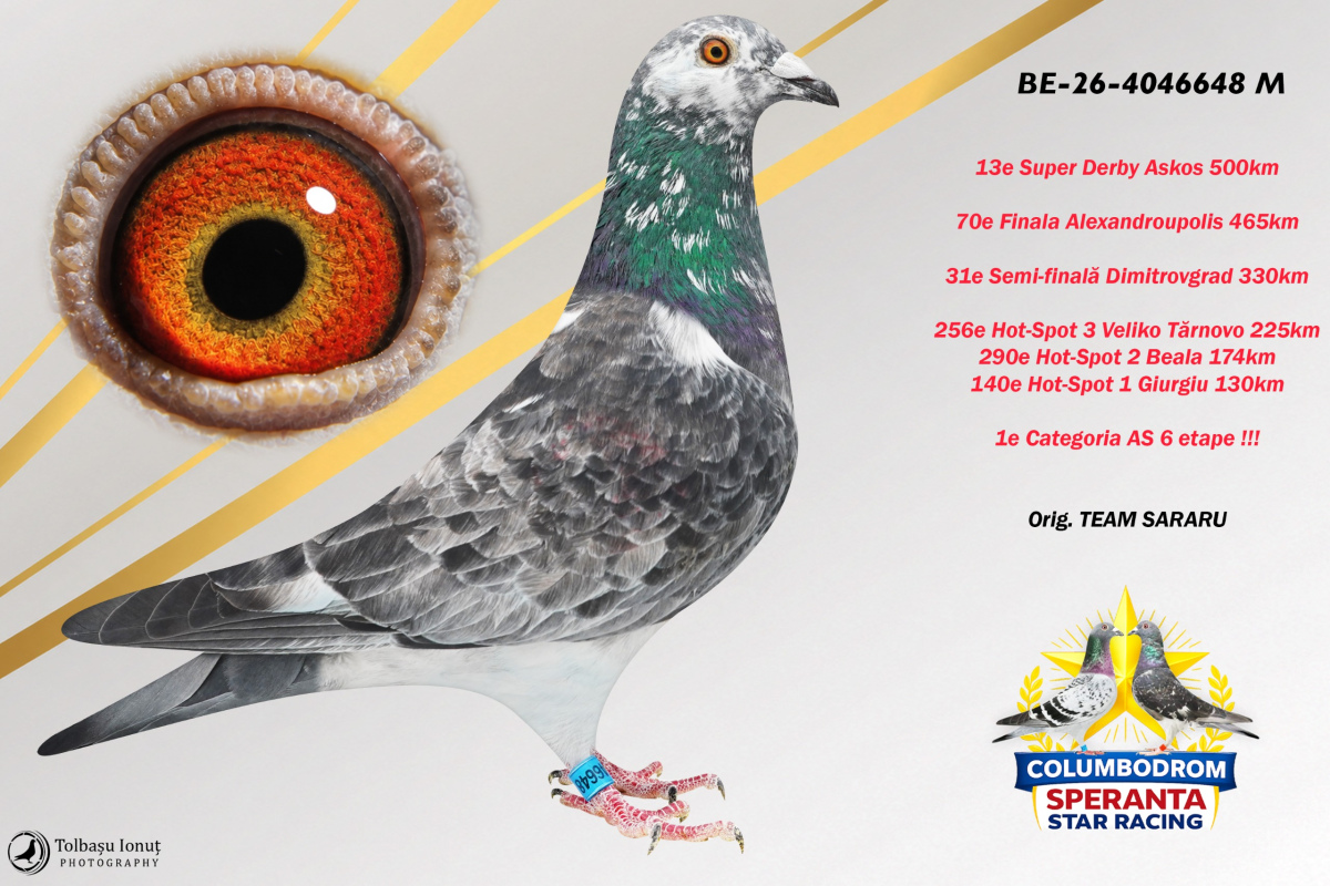 OLR Speranta - SUPER DERBY ASKOS 500km