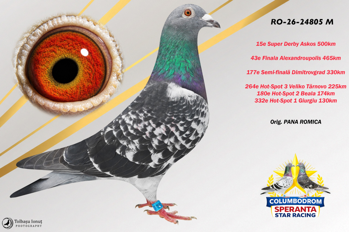 OLR Speranta - SUPER DERBY ASKOS 500km