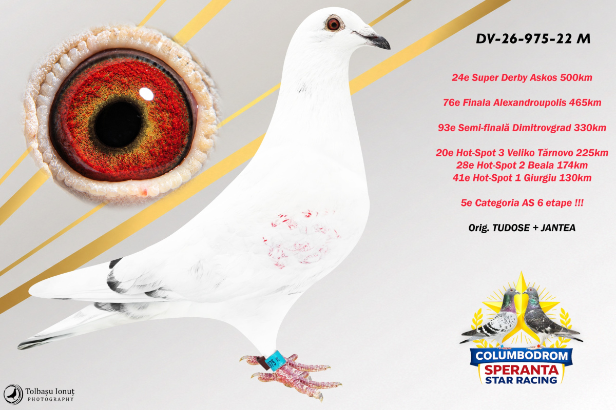 OLR Speranta - SUPER DERBY ASKOS 500km